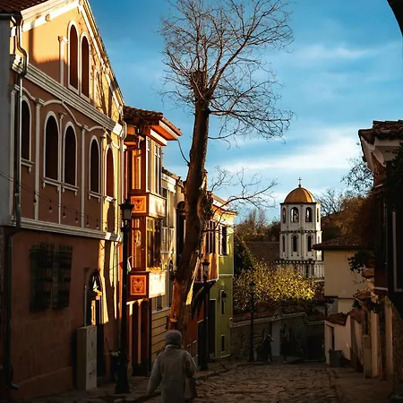 Chic Luxury Escape Close To Kapana Area * 普罗夫迪夫